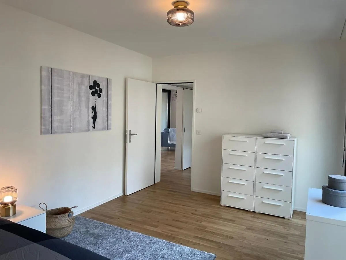 Modern Apartment Near Basel City And Airport